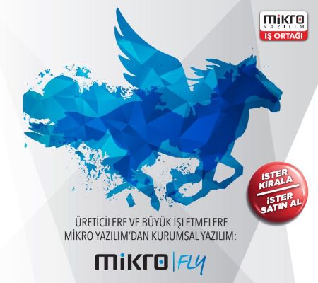 Mikro Fly